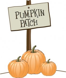 pumpkin-patch_child-occupational-therapy